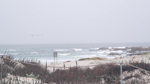 Ocean beach sandy dunes, Monterey nature, California misty coast, USA. Foggy rainy autumn or winter weather, grey cloudy sky. Trail path on shore near cold sea waves. Moody calm tranquil atmosphere.