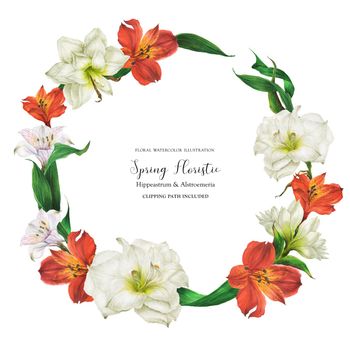 Floral wreath with red and white lily flowers, realistic botanical illustration with clipping path