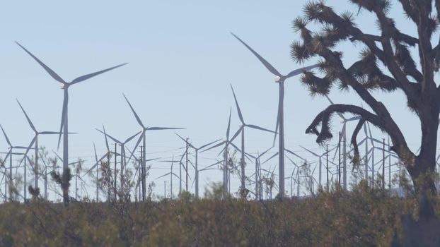 Windmills turbine rotating, wind farm or power plant, green renewable energy generators, industrial field in California, Mojave desert, USA. Electricity generation on windfarm. Yucca joshua tree.