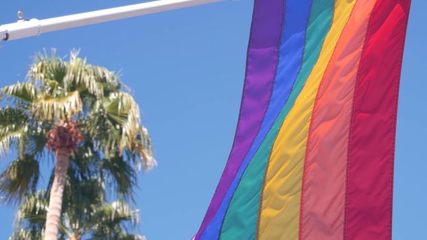Rainbow LGBTQ flag waving in wind, colorful stripes, Palm Springs, California palm trees, USA. Equal rights, sexual minorities, gender diversity and gay pride. Lesbians, bisexual, transgender people.