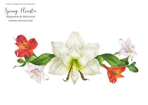 Wedding garland vignette with alstroemeria and hippeastrum flowers, realistic watercolor illustration with clipping path
