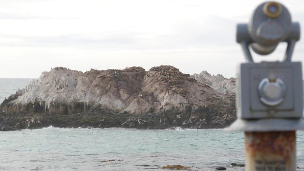 Seal or sea lion rookery, wild animals on rocky craggy beach. Stationar binoculars, telescope, spyglass, tower viewer or scope, ocean waves. 17-mile drive, Monterey wildlife, California USA. Bird Rock