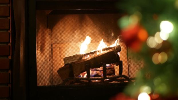 Christmas tree lights by fire in fireplace, New Year or Xmas decoration of pine or fir with red balls. Fireside on winter christmastime holiday. Cozy place by firewood. Seamless looped cinemagraph.