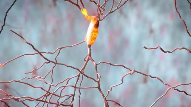 The human brain Neuron Neurons in action. electrical impulses between neuronal connections 3d illustration