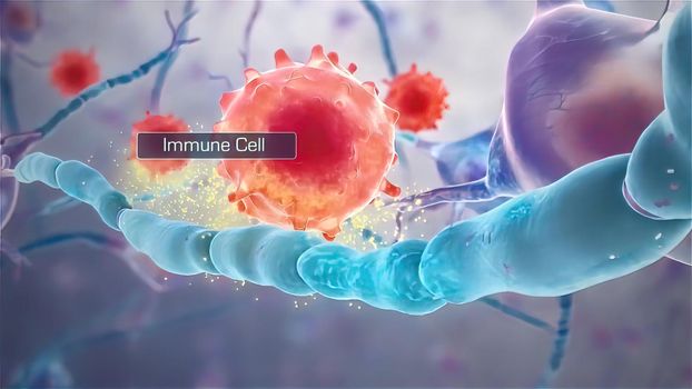 Neural transmission. Neuron receiving and transmitting an impulse 3d illustration