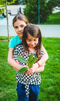 Children take care of nature tree in their hands. Selective focus. Kid.