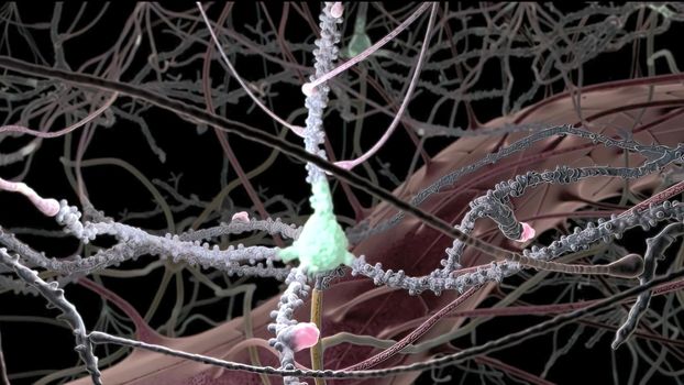 Neurotransmitters are chemical messengers in the body 3d illustration