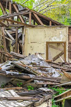 Broken destroyed old house in forest with green plants trees in the forest of Drangstedt in Geestland Cuxhaven Lower Saxony Germany.