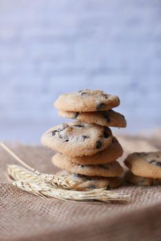 stack of chocolate cookies on white background.