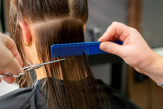 Close up of hands of male hairdresser cutting long hair of young woman holding scissors and comb at the salon. Rear view