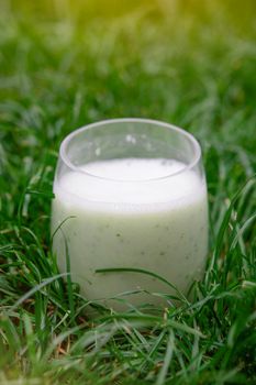 vegetarian green drink in a glass in the grass