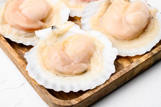 Fresh scallops for a baked recipe set, on white stone table background