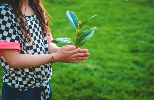 Children take care of nature tree in their hands. Selective focus. Kid.
