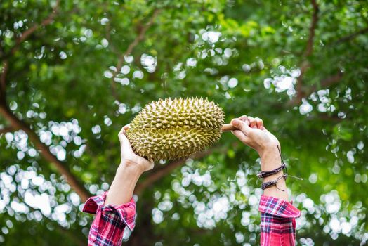 A man holding Mon Thong durian fruit in his hand. Regarded by many people in southeast asia as the king of fruits.
