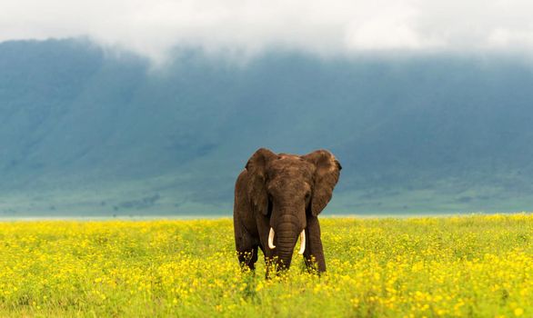 Aside from making you happier in the short-term, traveling can make you a much more contented, happy and relaxed person in the long run, too.