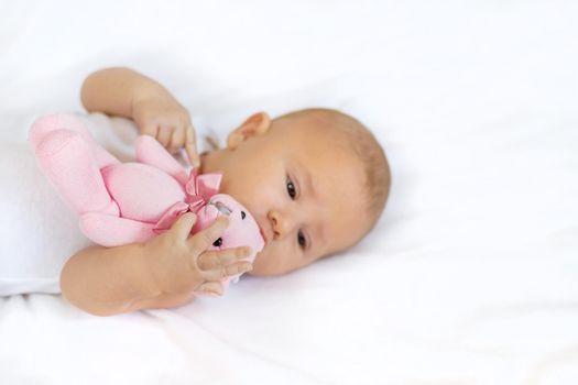 Baby plays with teddy bear against white background. Selective focus. People.