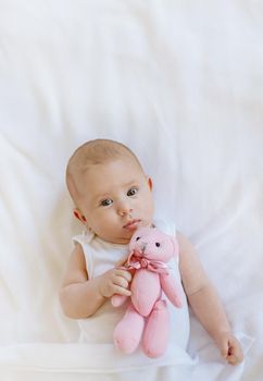 Baby plays with teddy bear against white background. Selective focus. People.