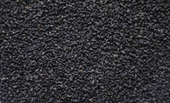 There are many black cumin seeds. Selective focus. nature.