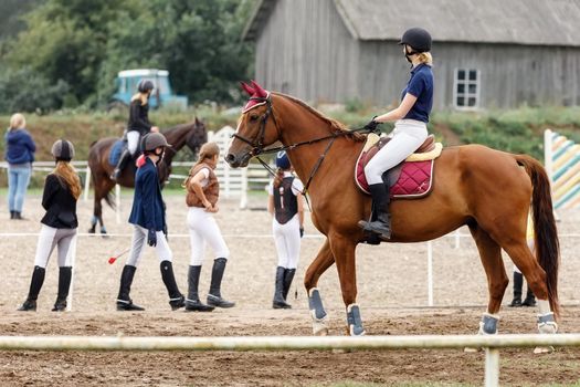 Young rider girl on bay horse before dressage competition. Equestrian sport competition concept background.