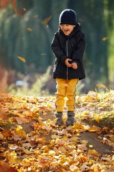 Cheerful boy enjoying amidst falling autumn leaves. The concept of childhood, family and kid.