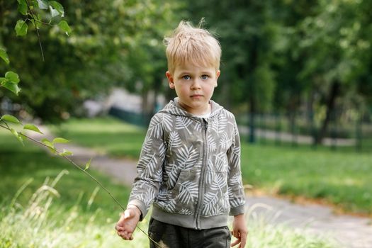 A portrait of a cute blond little boy in a green city park during the summer.