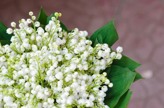 A selective focus shot of lilies of the valley