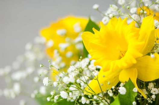 A closeup shot of yellow and white flowers