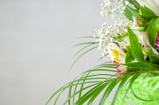 A closeup of beautiful alstroemeria and baby's breath flowers isolated on a white background