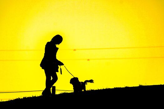 Silhouette of people sitting on the hill at dusk. Shooting Location: Mitaka City, Tokyo