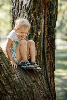 Cheerful little boy climbing on the big tree exploring the nature. Happy child playing in the park. Playful kid having fun in the forest on a summer day.