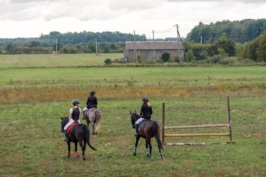 Young girls riding horses bareback in field. Horse riding, training and rehabilitation.