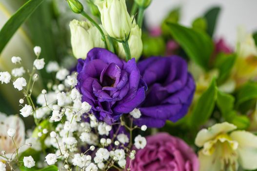 A closeup of beautiful purple lisianthus flowers in a bouquet