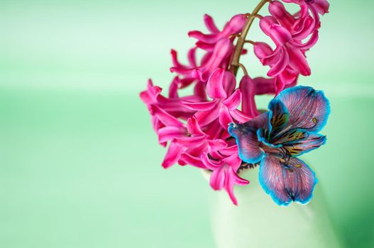 A closeup of beautiful pink hyacinth and blue alstroemeria flowers