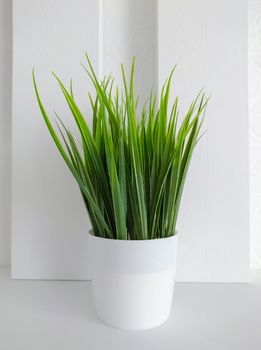 Texture or background.Decorative artificial grass of green color in a pot for interior and design