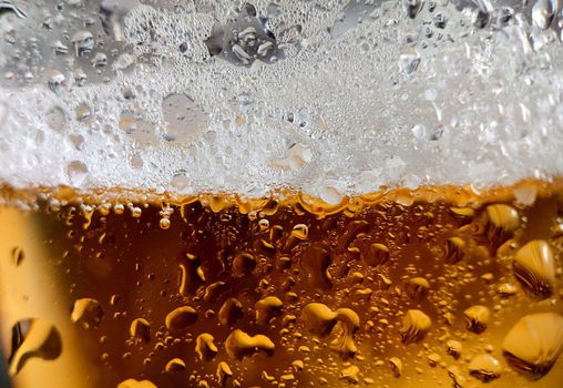 Macro.Golden beer with bubbles and foam in a glass.Texture or background