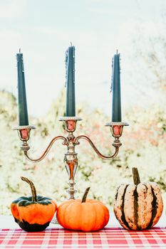 Different kinds of pumpkins on the table with candles in the garden