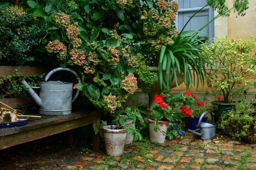 Garden decorated with flowers and plants in the pots