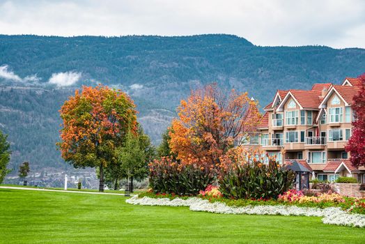Luxury residential area with green lawn in front