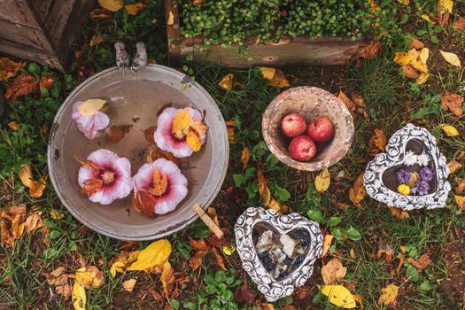 Dry flowers and leaves float in the water in the autumn garden