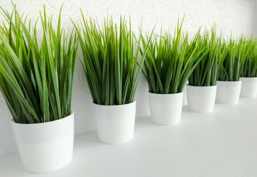 Texture or background.Artificial potted grass at an angle for the interior of the room