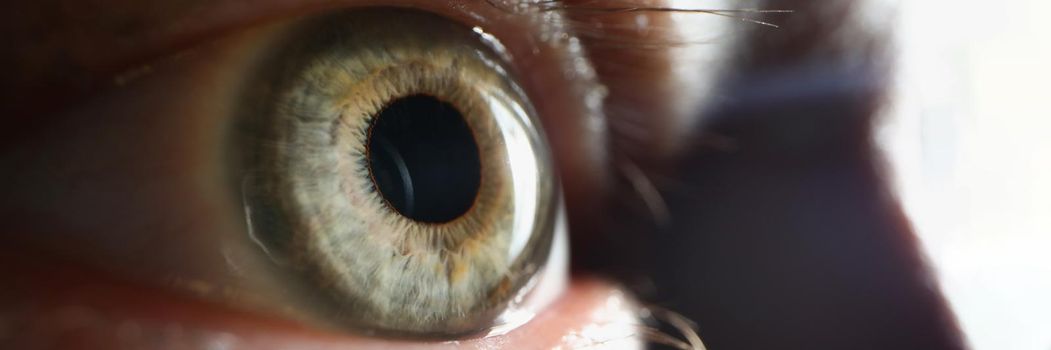 Close-up of males single eye looking away, pupil and retina in extreme macro shot. Diagnosis of eyesight, ophthalmology, medicine, human organism concept