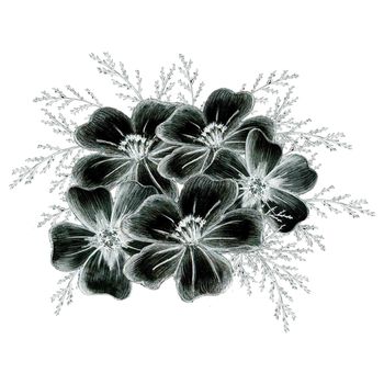 Black and White Hand Drawn Marigold Flower Composition Isolated on White Background. Marigold Flower Composition Drawn by Black Pencil.