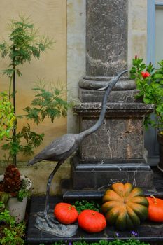 Garden decorated with autumn flowers, pumpkins and plants.