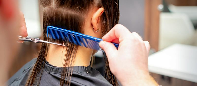 Back view of hands of male hairdresser cuts off long hair of young woman in hair salon