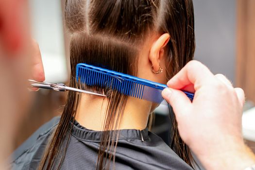Back view of hands of male hairdresser cuts off long hair of young woman in hair salon