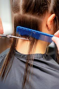 Back view of hands of male hairdresser cuts off long hair of young woman in hair salon
