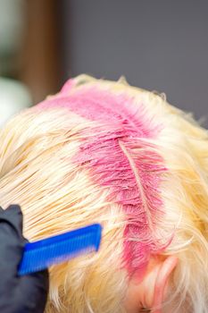 Hair coloring in pink color on hair roots of young blonde woman in hair salon. Selective focus