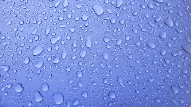 A drop of water on the hood of the car. Water balls after rain or car wash on the surface of purple paint.