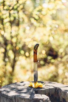Knife stabbed in the yellow leaves and old stump in the autumn forest