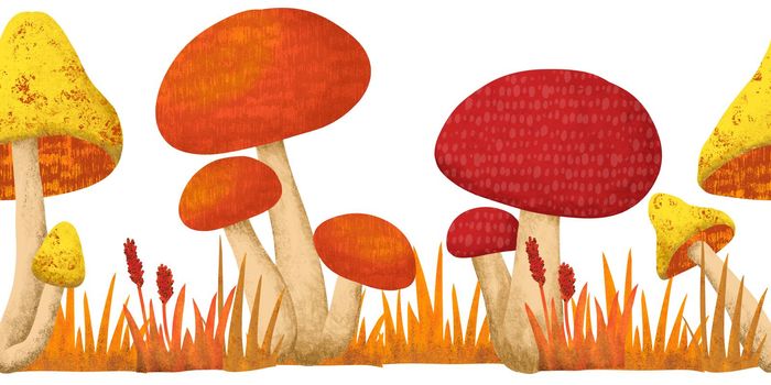 Hand drawn fall autumn seamless horizntal border with mushrooms forest wood grass leaves. Woodland frame in red orange yellow. Decorative ornament illustration